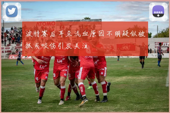 波特赛后耳朵流血原因不明疑似被抓或咬伤引发关注