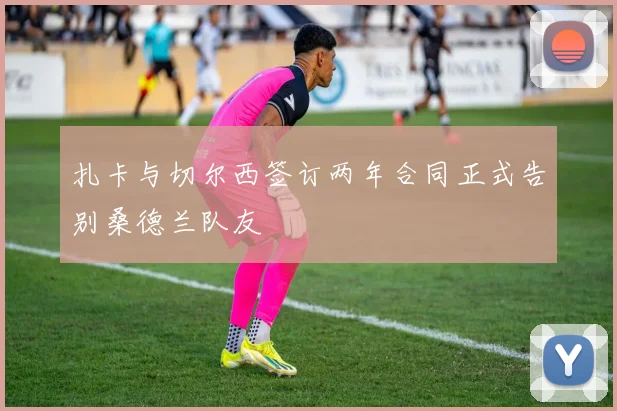扎卡与切尔西签订两年合同正式告别桑德兰队友